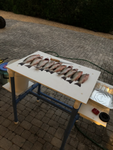 Captain's Fillet Table