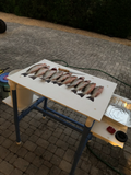 Captain's Fillet Table